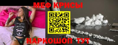 стаф Гатчина