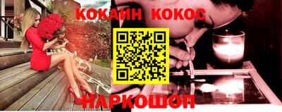 стаф Гатчина