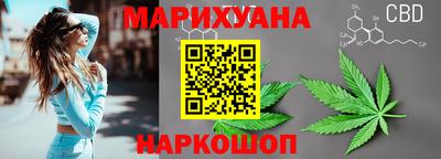 стаф Гатчина