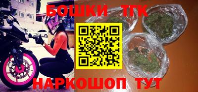 стаф Гатчина