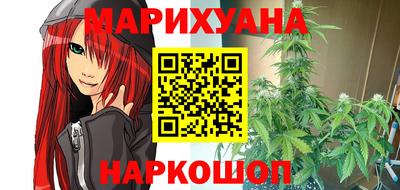 стаф Гатчина