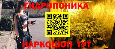 стаф Гатчина