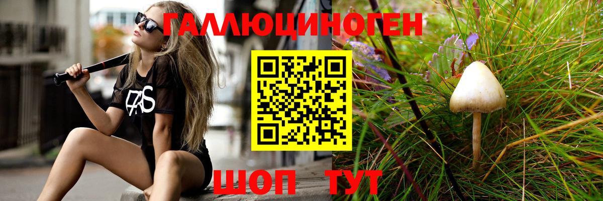 Галлюциногенные грибы GOLDEN TEACHER Топки